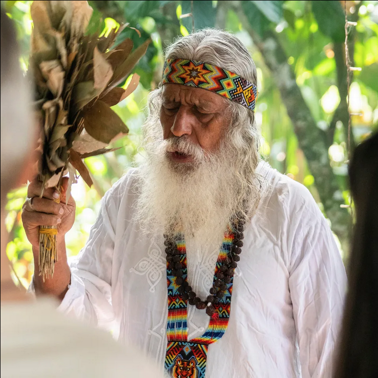 Taita Eveiro_Ancestral Retreats_Colombia_Ayahuasca