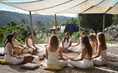 From Hype to Devotion: What Remains of the Yoga Boom